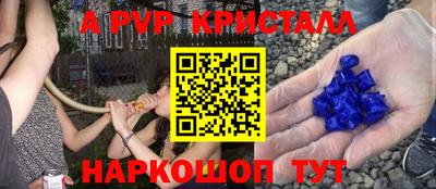 спиды Гагарин