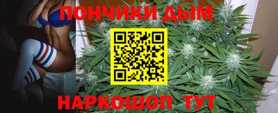 спиды Гагарин