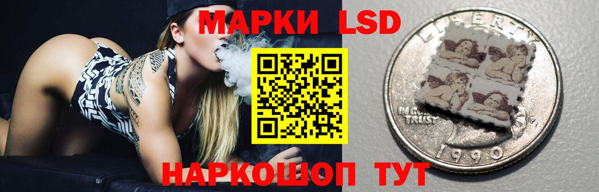LSD-25 экстази кислота  blacksprut ссылка  Качканар  ЛСД экстази кислота 