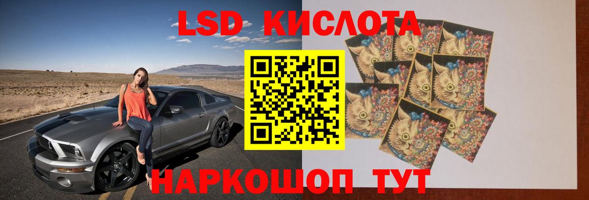 Лсд 25 экстази кислота  Вход с VPN  Качканар  Лсд 25 экстази кислота 