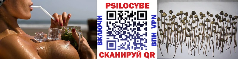 Псилоцибиновые грибы Magic Shrooms  где купить наркоту  ссылка на мегу зеркало  Качканар 