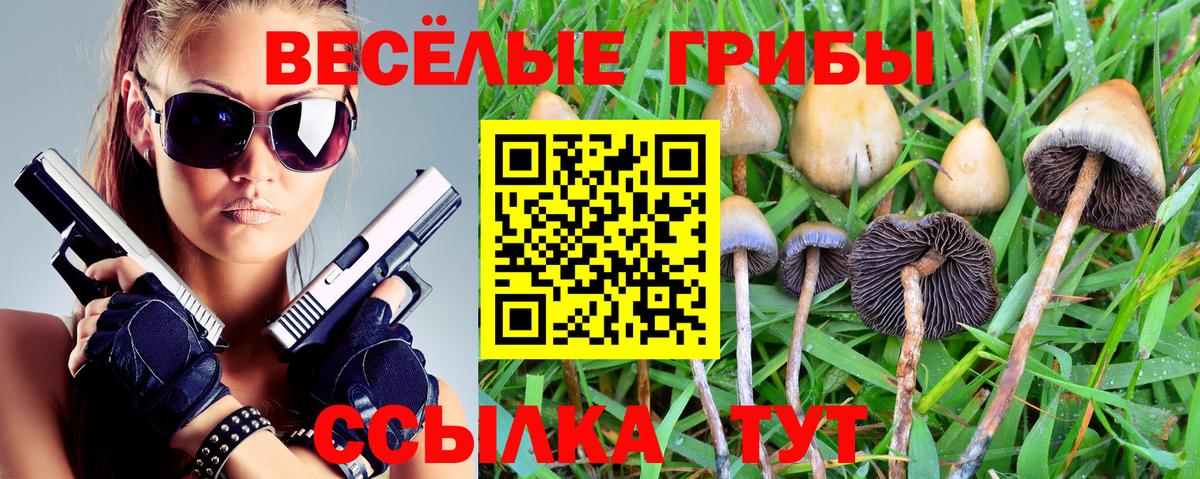 Качканар  Псилоцибиновые грибы прущие грибы  Вход с VPN 